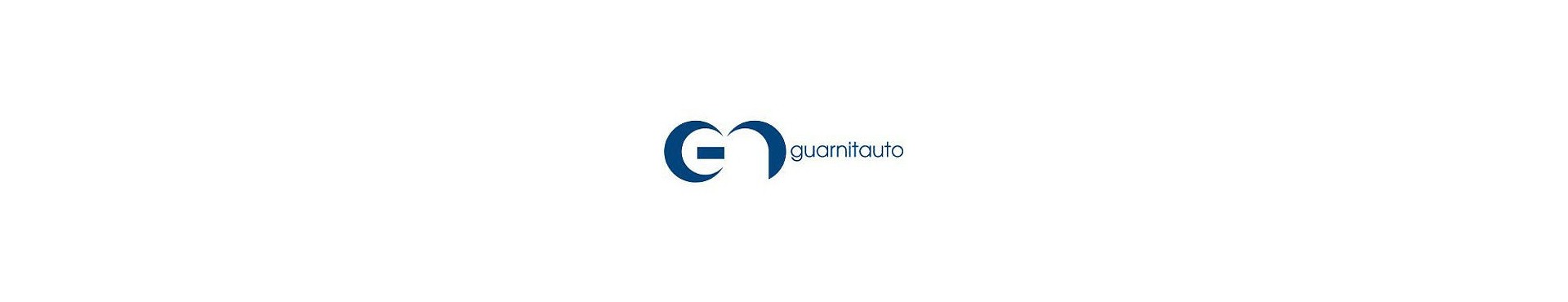GUARNITAUTO GUARNIZIONI